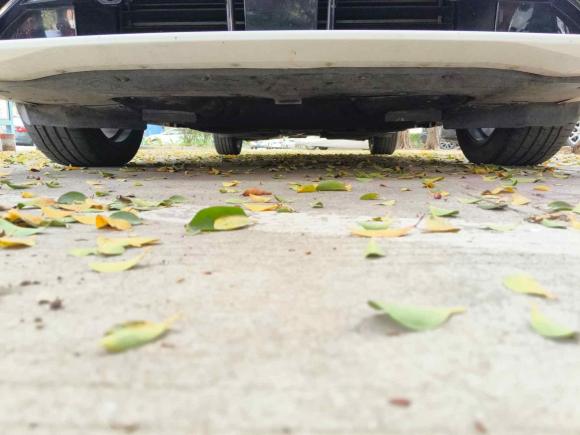 [佛山·粤E] 二手福特蒙迪欧2022款 改款 EcoBoost 245 至尊型