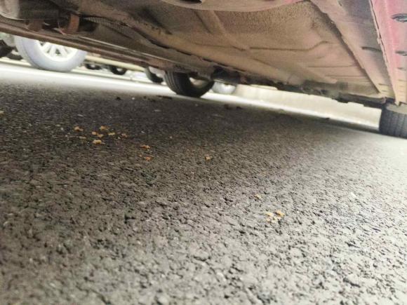 [南京·苏A] 二手荣威荣威3602015款 1.5L 手动豪华版