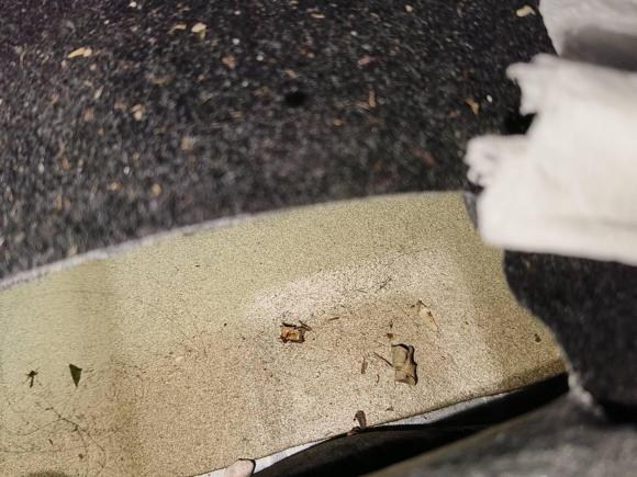 [西安·陕U] 二手起亚福瑞迪2019款 1.6L 自动风尚版 国VI