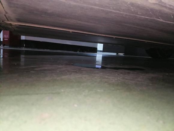 [深圳·粤B] 二手特斯拉Model Y2021款 标准续航后驱版