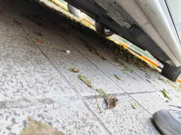 [杭州·浙A] 二手奥迪奥迪A4L2018款 30周年年型 40 TFSI 时尚型