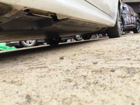 [嘉兴·浙F] 二手比亚迪秦PLUS2021款 EV 500KM 尊贵型