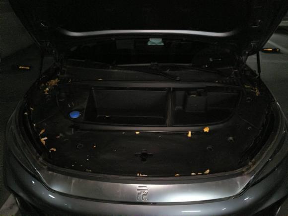 [青岛·琼A] 二手比亚迪元PLUS2022款 510KM 旗舰型