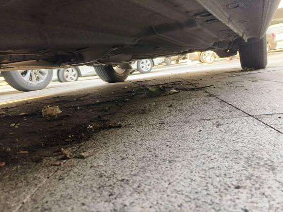 [嘉兴·浙F] 二手大众朗逸2013款 改款经典 1.6L 自动风尚版