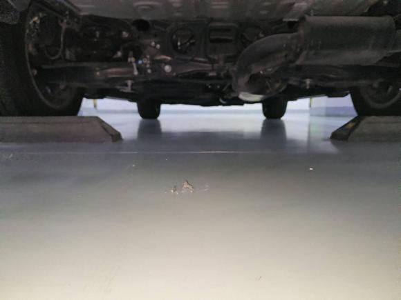 [上海·沪F] 二手雷克萨斯雷克萨斯NX2020款 200 前驱 锋逸版 国VI