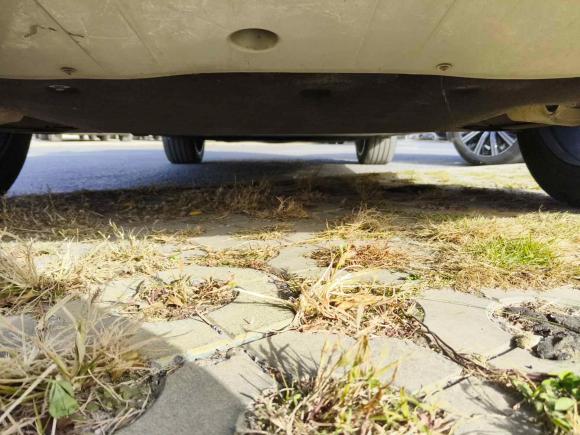 [合肥·皖A] 二手蔚来蔚来ES82018款 创始版