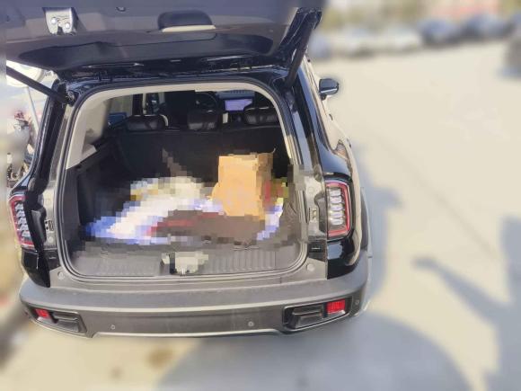 [济南·鲁A] 二手哈弗哈弗大狗2024款 1.5T DCT边牧版