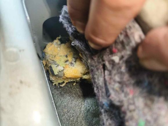 [佛山·粤E] 二手丰田卡罗拉2011款 1.6L 自动GL