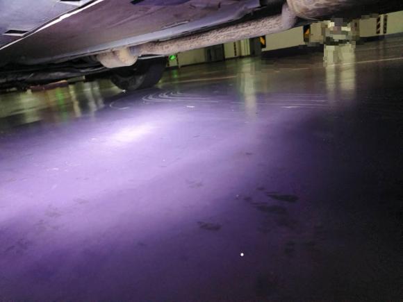 [青岛·鲁B] 二手福特翼虎2019款 EcoBoost 180 两驱铂翼型 国VI