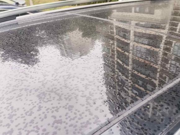 [上海·沪D] 二手福特锐界2016款 EcoBoost 245 四驱豪锐型 7座