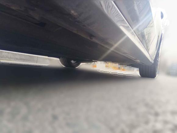 [青岛·鲁U] 二手福特福克斯2021款 两厢 EcoBoost 180 自动ST Line