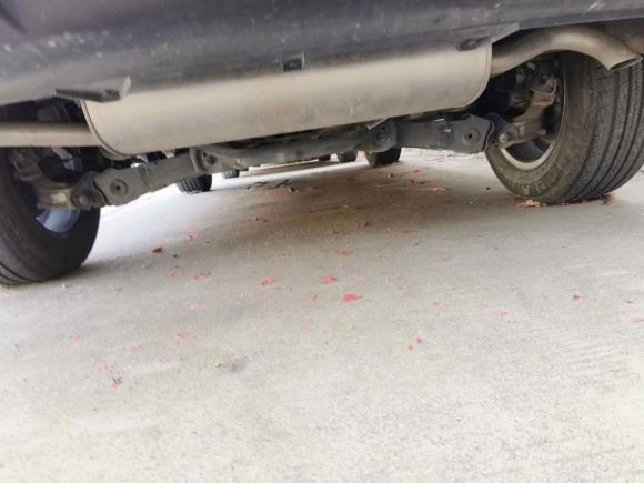 [广州·桂C] 二手哈弗哈弗H62021款 国潮版 1.5GDIT 自动冠军版