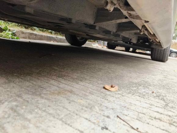 [深圳·粤B] 二手雪佛兰探界者2019款 535T 自动驭界版 国V