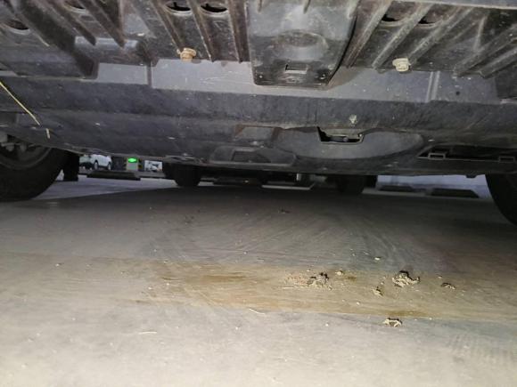 [济南·津G] 二手丰田雷凌2016款 双擎 1.8H GS E-CVT精英天窗版