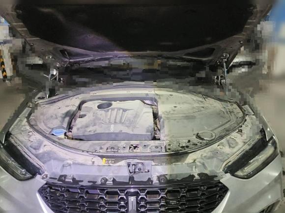 [武汉·鄂F] 二手魏牌魏牌 VV72019款 升级款 2.0T 超豪型 国V