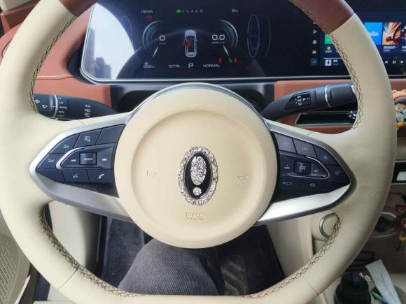 [上海·沪A] 二手欧拉欧拉好猫2023款 401km标准续航 尊荣型 磷酸铁锂