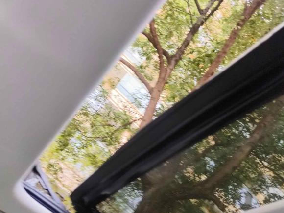 [杭州·浙A] 二手零跑汽车零跑C112021款 改款 豪华版