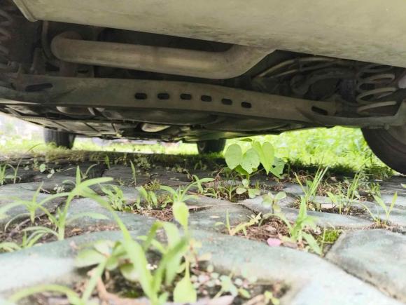 [上海·苏D] 二手大众高尔夫2016款 1.4TSI 手动R-Line