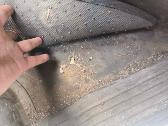 [合肥·皖A] 二手五菱汽车五菱荣光新卡2022款 1.5L标准型加长双排LAR