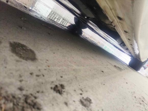 [嘉兴·浙F] 二手日产轩逸2021款 1.6L XL CVT悦享版