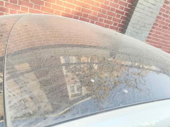 [上海·沪A] 二手特斯拉Model Y2023款 长续航全轮驱动版