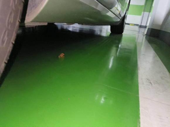 [青岛·鲁U] 二手沃尔沃沃尔沃S602017款 S60L T5 智驭版