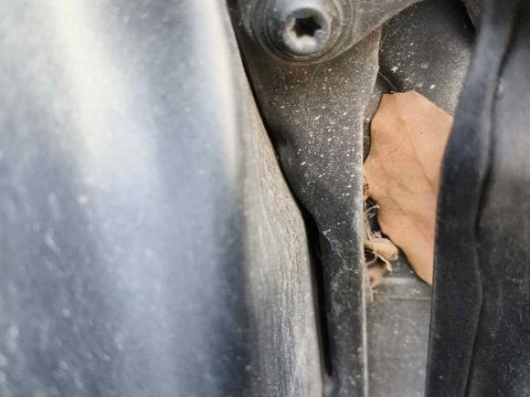 [嘉兴·浙F] 二手奥迪奥迪A6L2012款 30 FSI 技术型