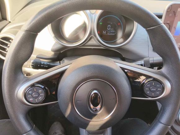 [广州·粤A] 二手欧拉欧拉黑猫2021款 301km 萌宠版