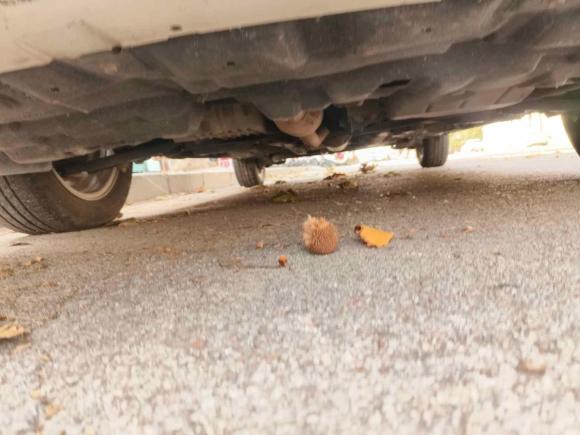 [济南·鲁A] 二手丰田威驰2021款 1.5L CVT创行版