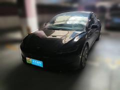 [武汉·鄂A] 特斯拉Model 32023款 长续航全轮驱动版