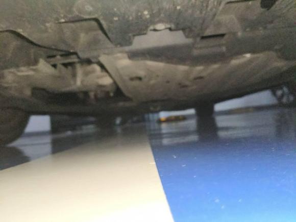 [上海·沪C] 二手本田雅阁2022款 260TURBO 豪华版