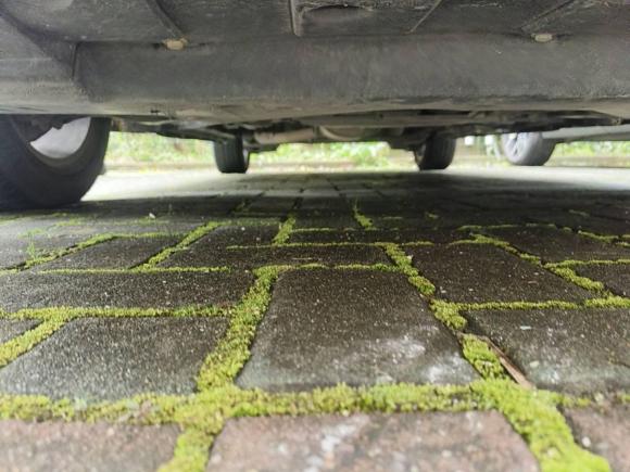 [宁波·浙B] 二手比亚迪宋MAX2019款 1.5T 自动智联睿动型 7座 国V