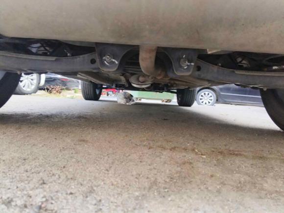 [青岛·鲁U] 二手奇瑞瑞虎72020款 7i 1.5T 自动智领版