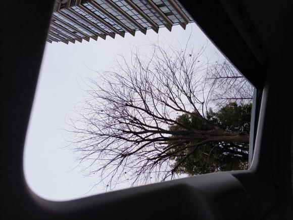 [上海·沪J] 二手奥迪奥迪A4L2009款 2.0 TFSI 标准型
