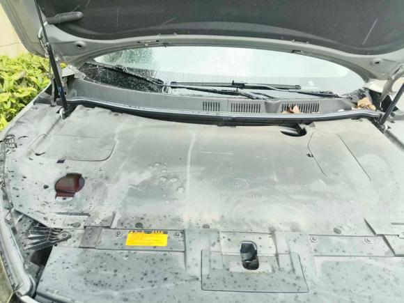 [上海·沪A] 二手威马汽车威马EX52021款 EX5-Z Fun动感版