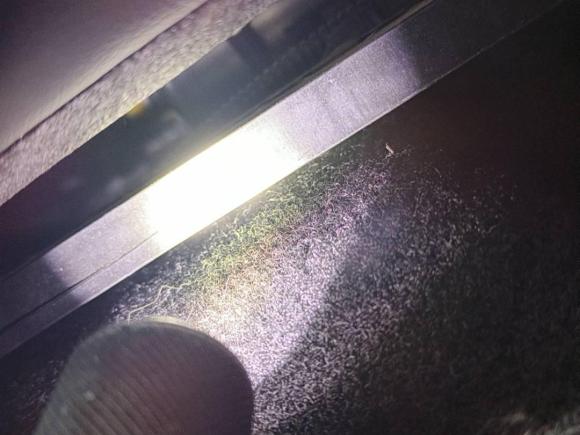 [上海·沪A] 二手特斯拉Model 32021款 标准续航后驱升级版