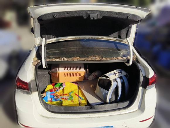 [宁波·浙B] 二手别克英朗2021款 改款 典范 1.5L 自动精英型