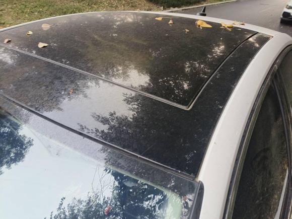 [成都·川G] 二手大众凌渡2021款 230TSI DSG风尚版