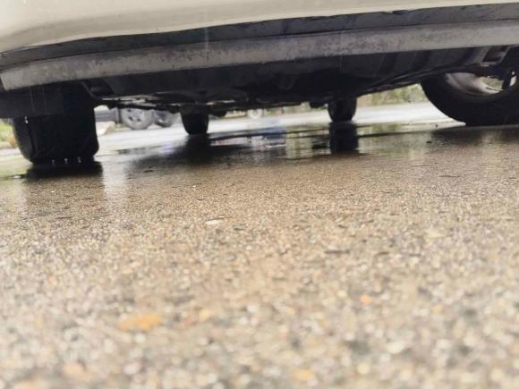 [上海·沪N] 二手本田艾力绅2016款 2.4L 豪华版