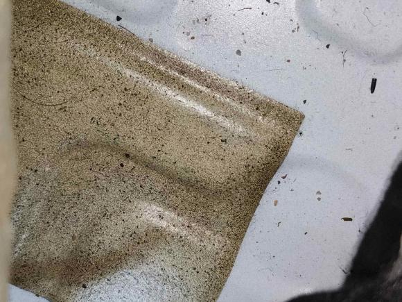 [深圳·粤L] 二手吉利汽车星瑞2021款 2.0TD 豪华型