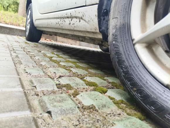 [南通·苏F] 二手荣威科莱威CLEVER2022款 311km元气啵啵版