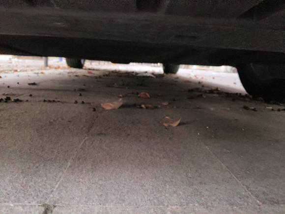 [常州·苏D] 二手福特蒙迪欧2013款 2.0L GTDi240豪华运动型