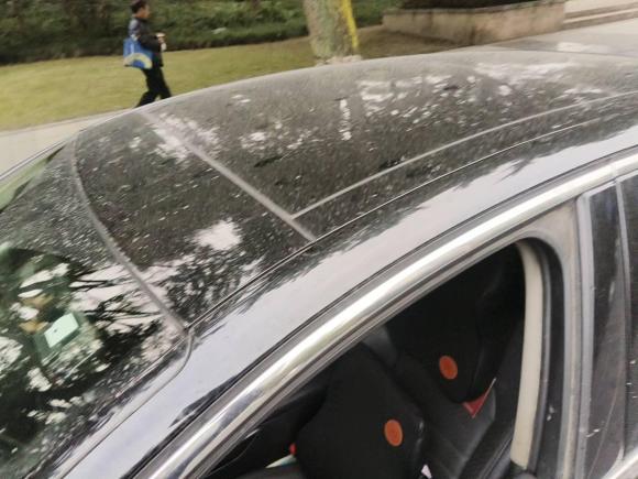 [成都·川A] 二手雪铁龙雪铁龙C62017款 380THP 尊贵型