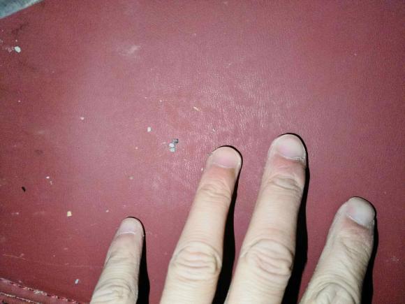 [合肥·皖A] 二手丰田卡罗拉2021款 1.2T S-CVT先锋PLUS版