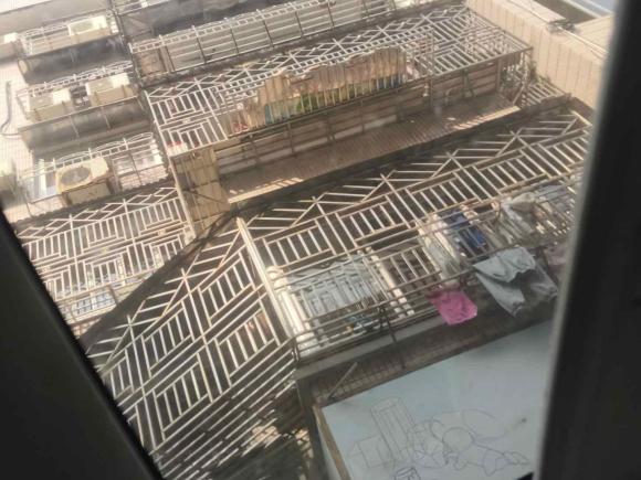 [温州·浙C] 二手丰田锐志2012款 2.5V 风度菁英炫装版