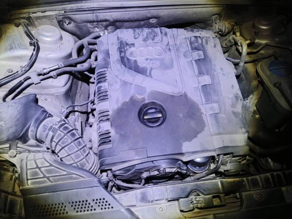 [济南·鲁A] 二手奥迪奥迪A5(进口)2010款 2.0TFSI Sportback 舒适型