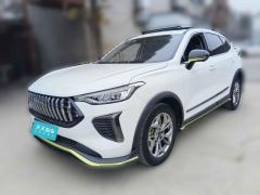 [武汉·鄂K] 哈弗哈弗赤兔2022款 劲享版 1.5T 紫铜兔