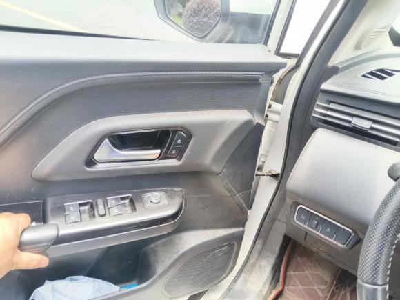 [杭州·浙A] 二手欧拉欧拉iQ2019款 出行版