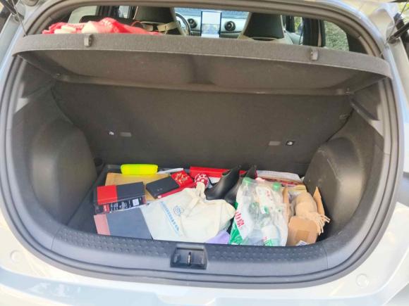 [嘉兴·浙F] 二手比亚迪海豚2021款 405km 时尚版