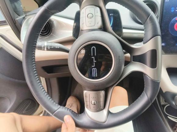 [上海·沪A] 二手比亚迪海豚2023款 420km 时尚版